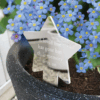 Memorial Star Plant Marker with Forget-Me-Not Seeds – Remembrance Garden Tribute - Image 2
