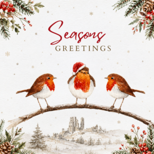 Christmas Cards